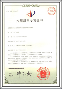 Patent certificates 4