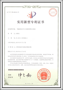 Patent certificates 5