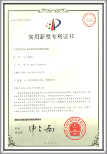 Patent certificates 6