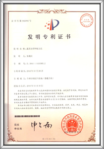 Patent certificates 9