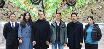 On January 7, 2019, Liu An, general manager of commodity Department of COFCO group,