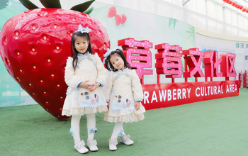 Lovochun strawberry culture festival