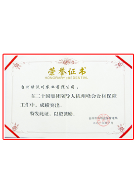 G20 honorary certificate