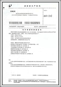 Patent certificate 17