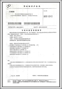 Patent certificate 19