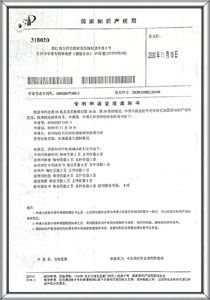 Patent certificate 22