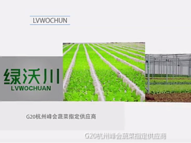 G20 designated supplier promotion video